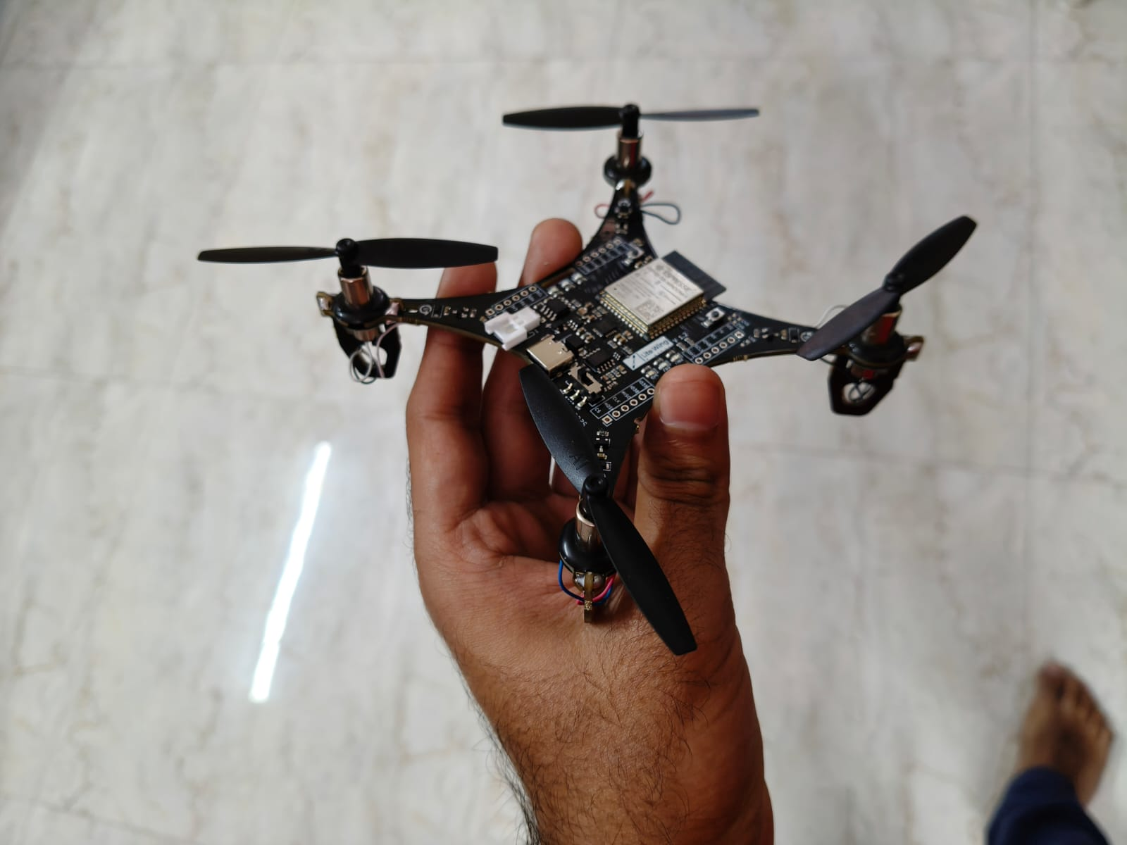 Litewing Photo